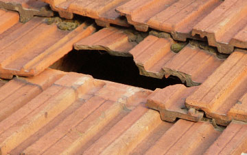 roof repair Shellwood Cross, Surrey
